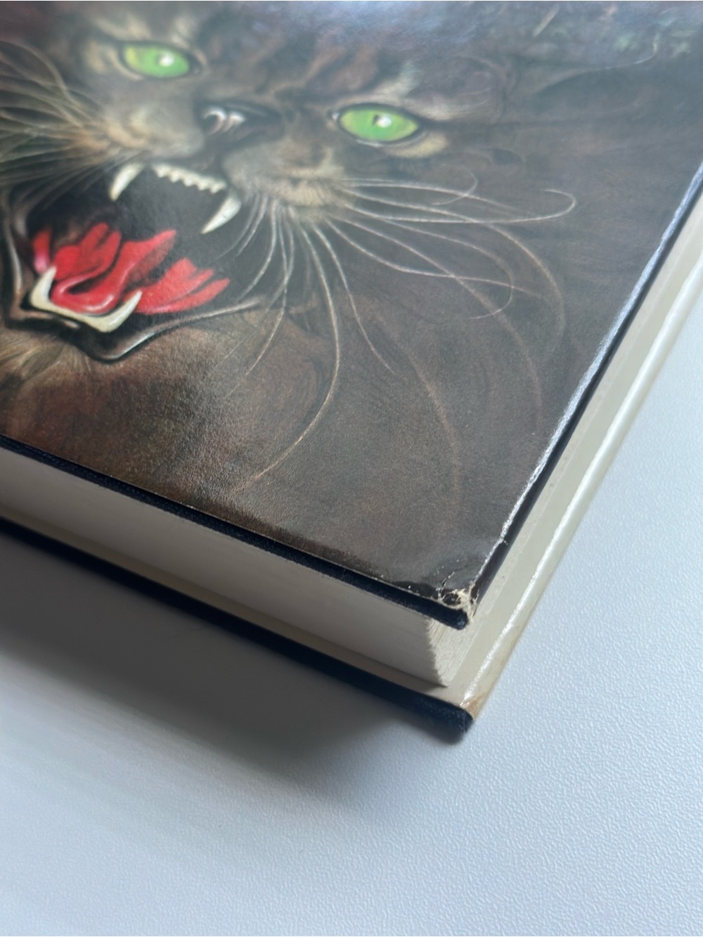 Pet Sematary by Stephen King - FIRST EDITION | Fiction, Horror | Hardcover Book - Picture 6 of 13